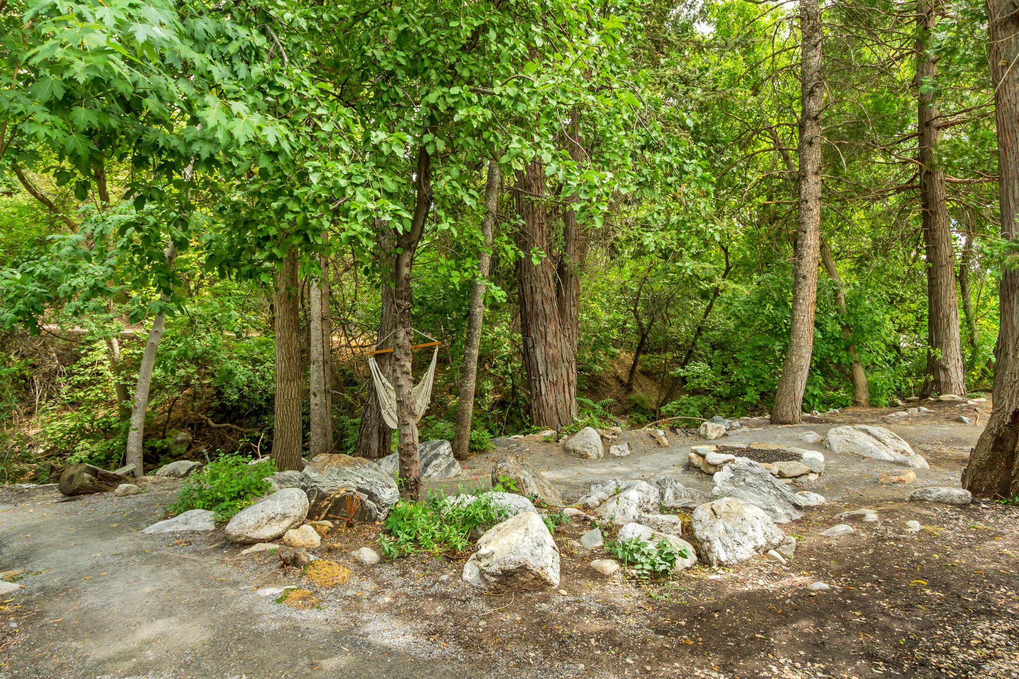 main property photo 55