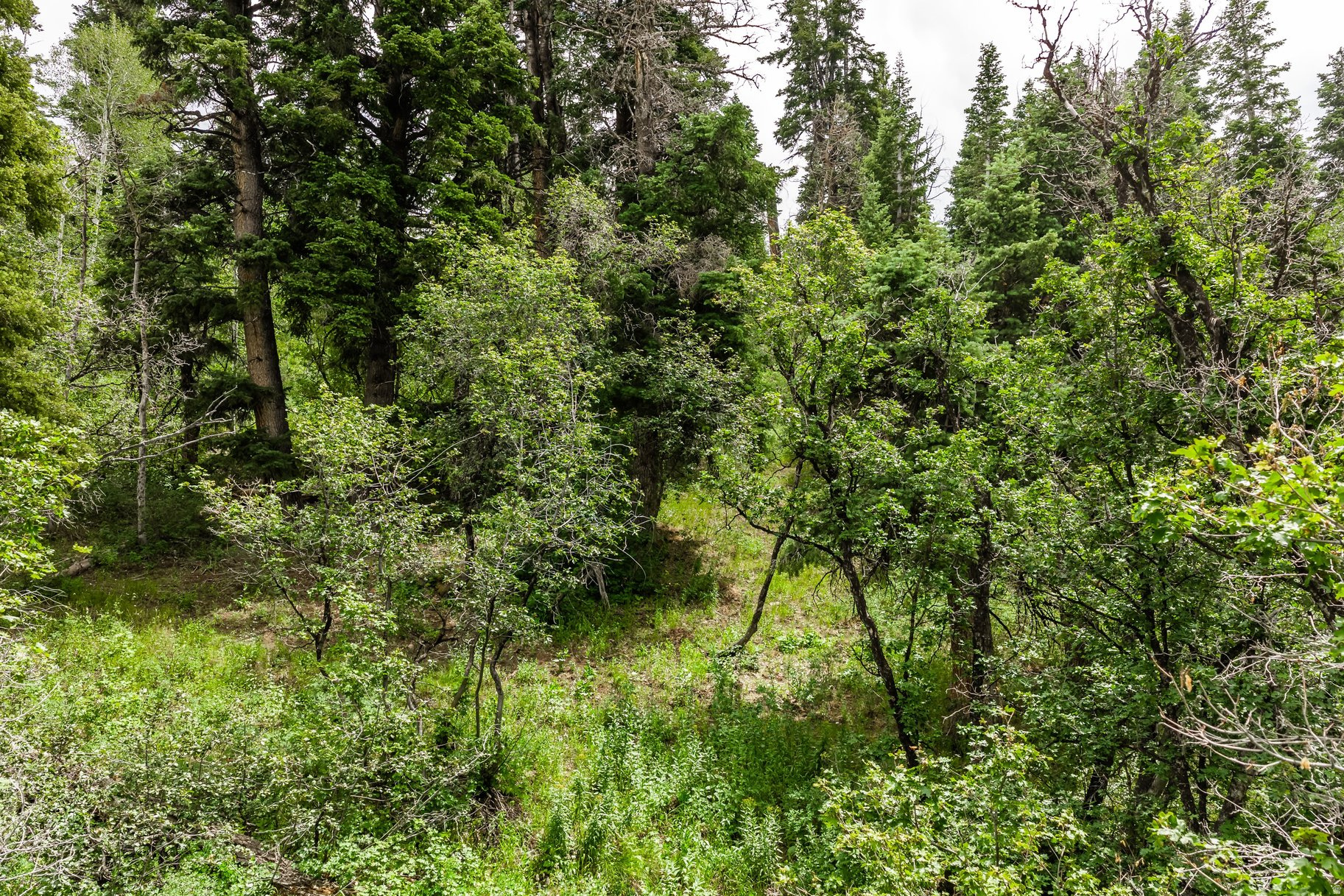 main property photo 11
