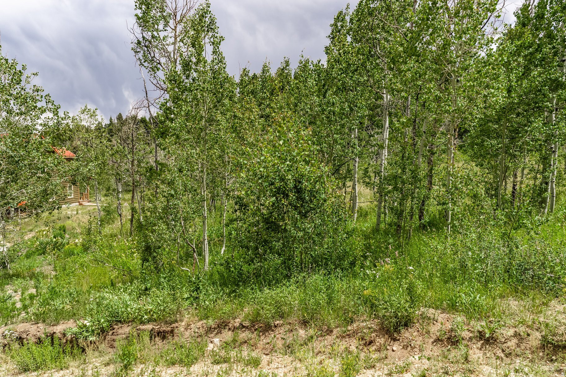 main property photo 17