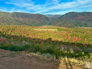 main property photo 109