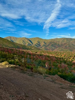 main property photo 114