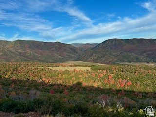main property photo 116