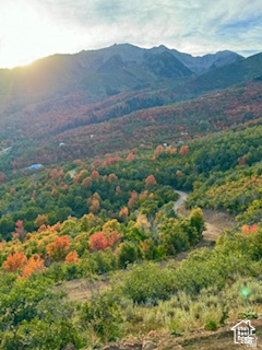 main property photo 119