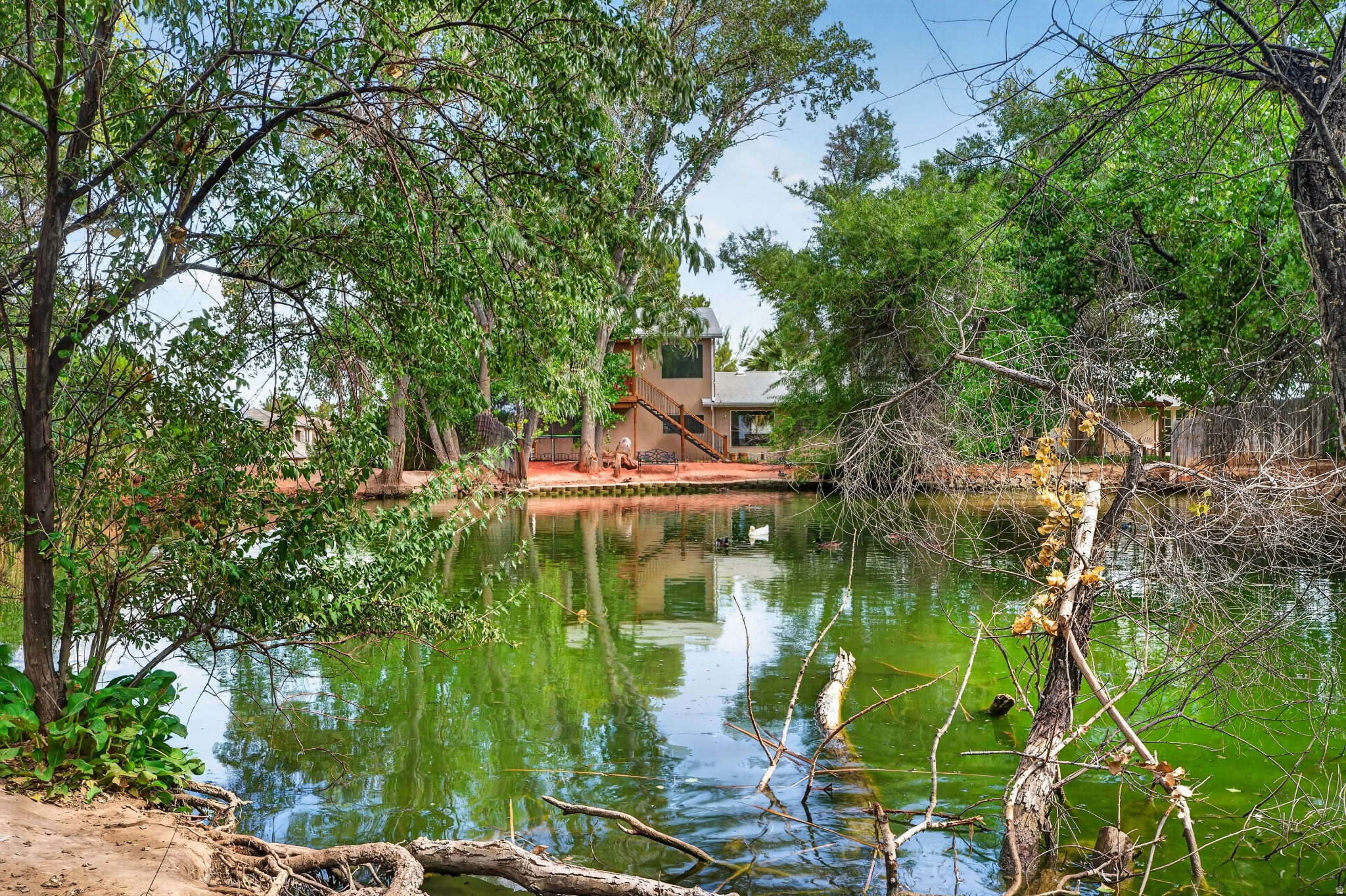 main property photo 93
