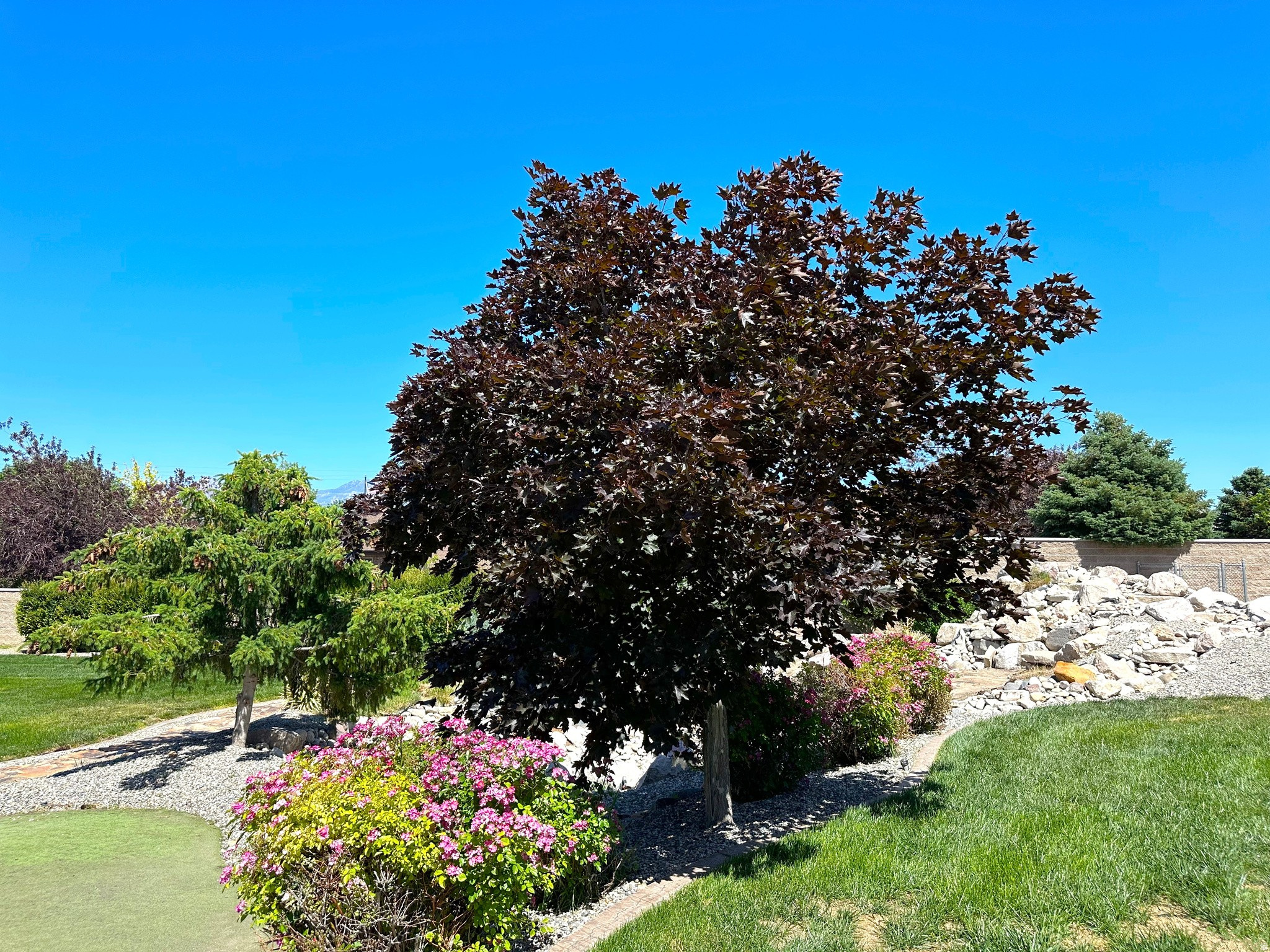 main property photo 61