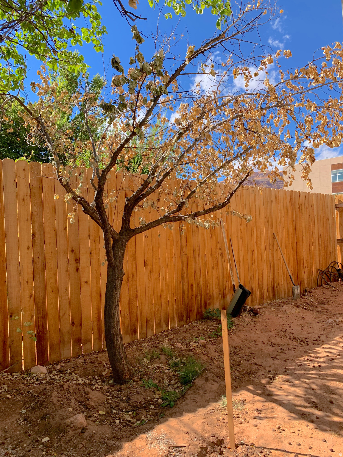 main property photo 19
