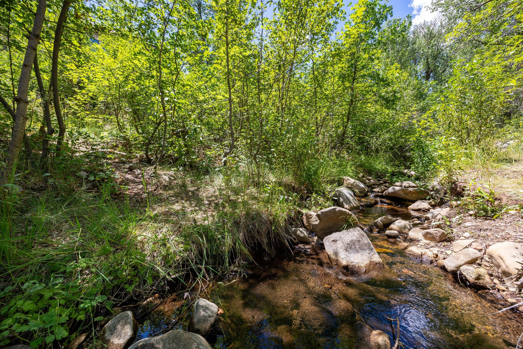 main property photo 63