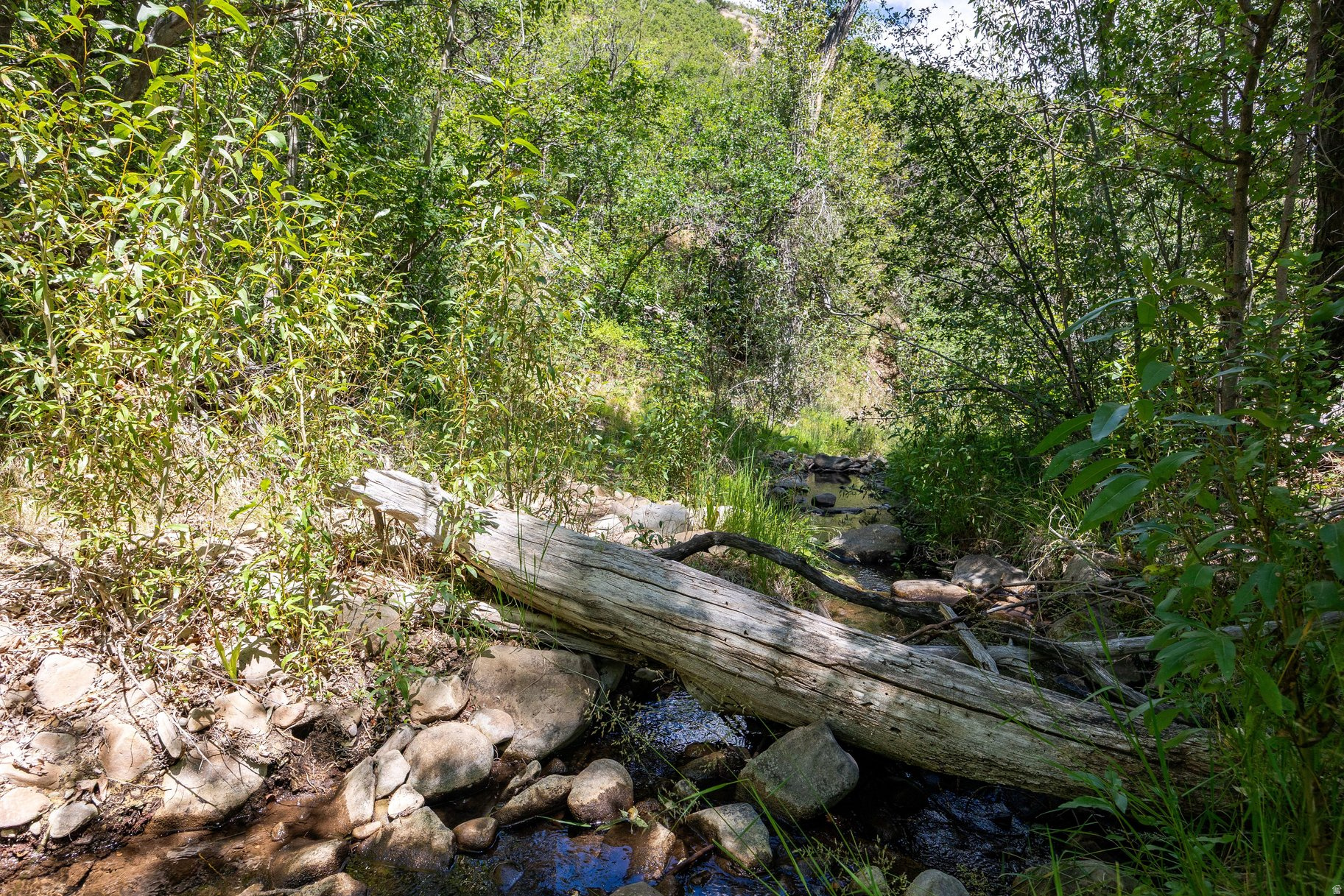 main property photo 64