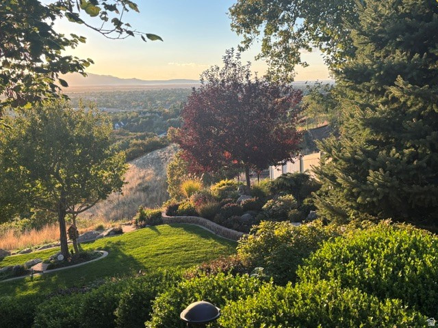 main property photo 91