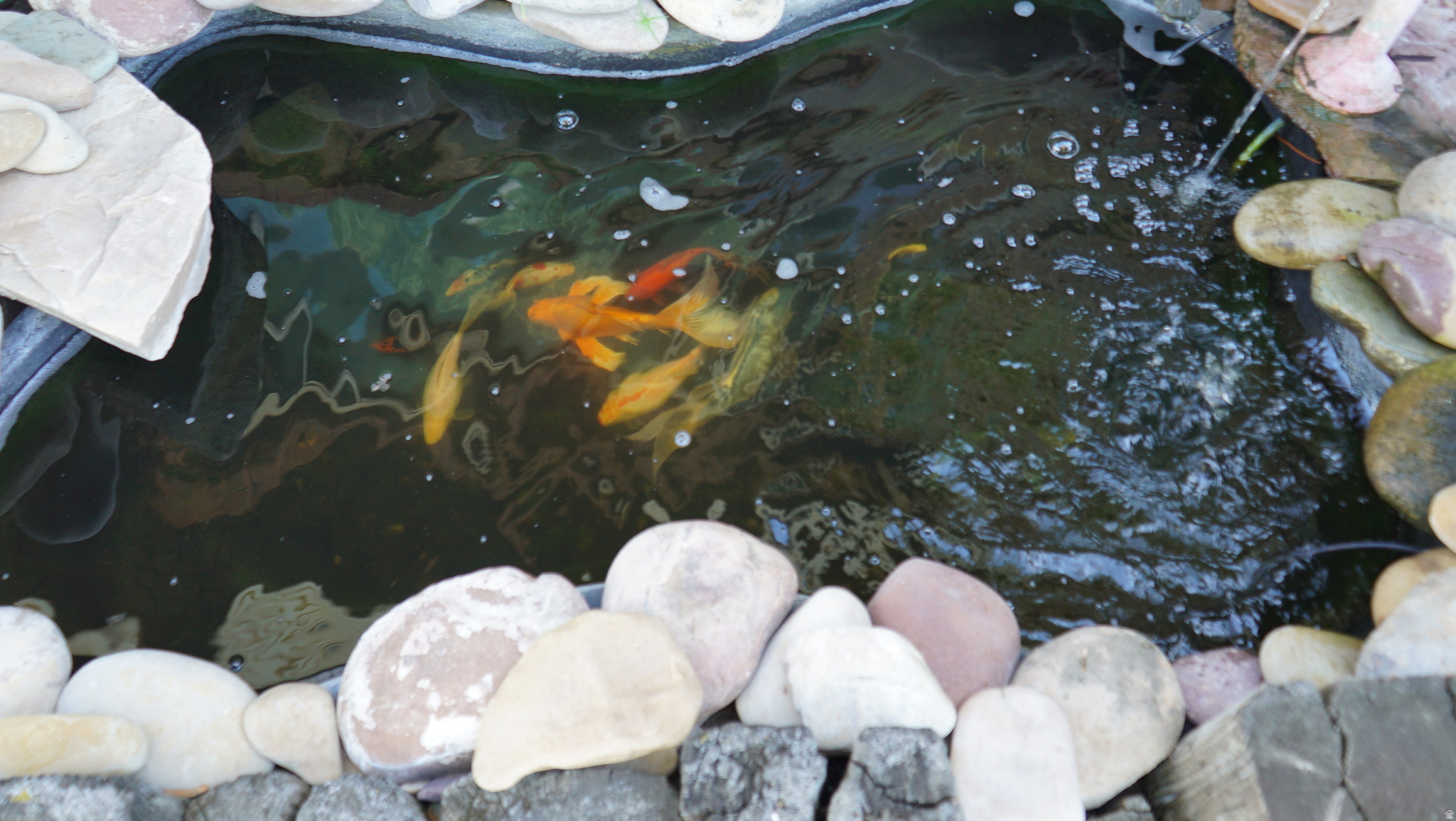 main property photo 20