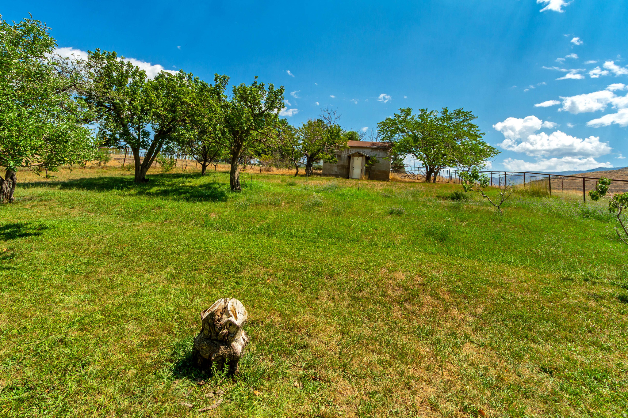 main property photo 63