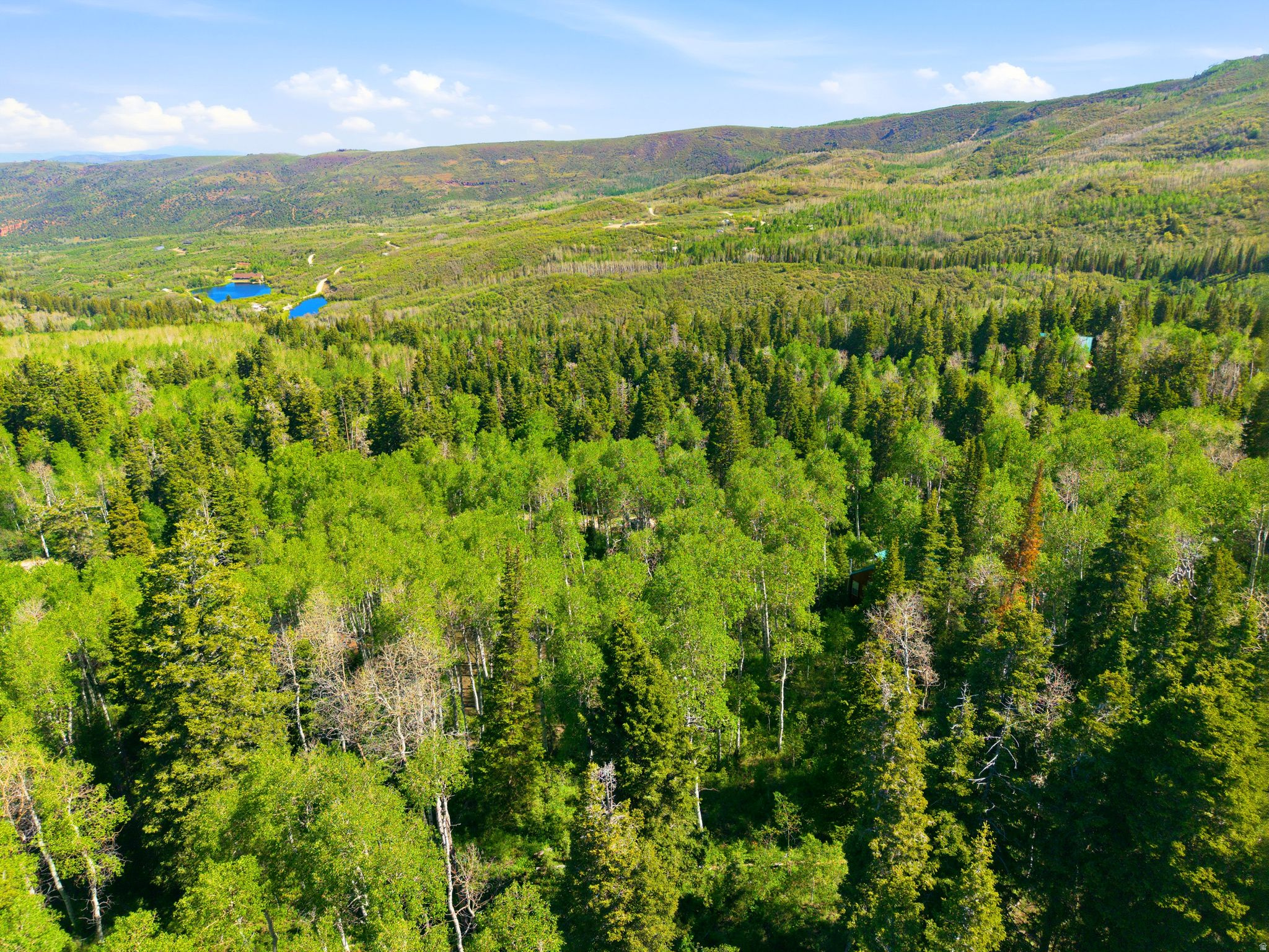 main property photo 49