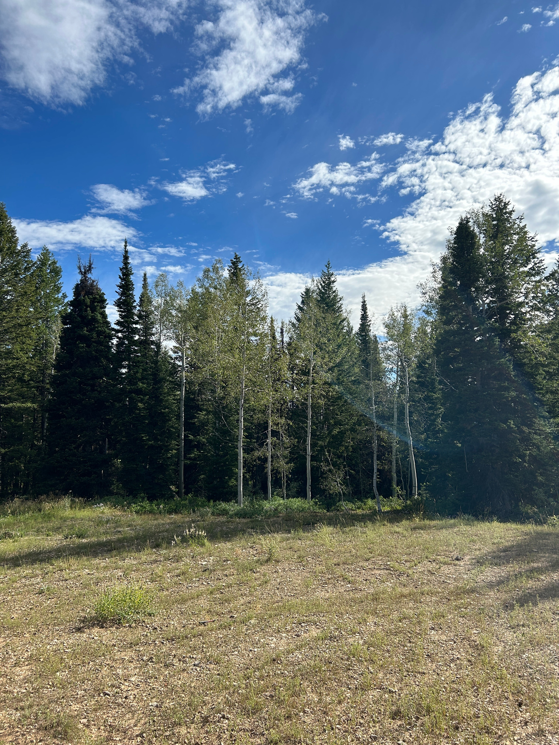 main property photo 0