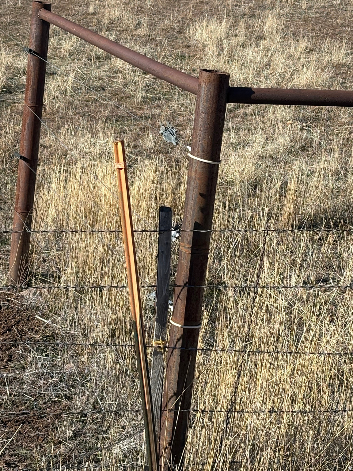 main property photo 4