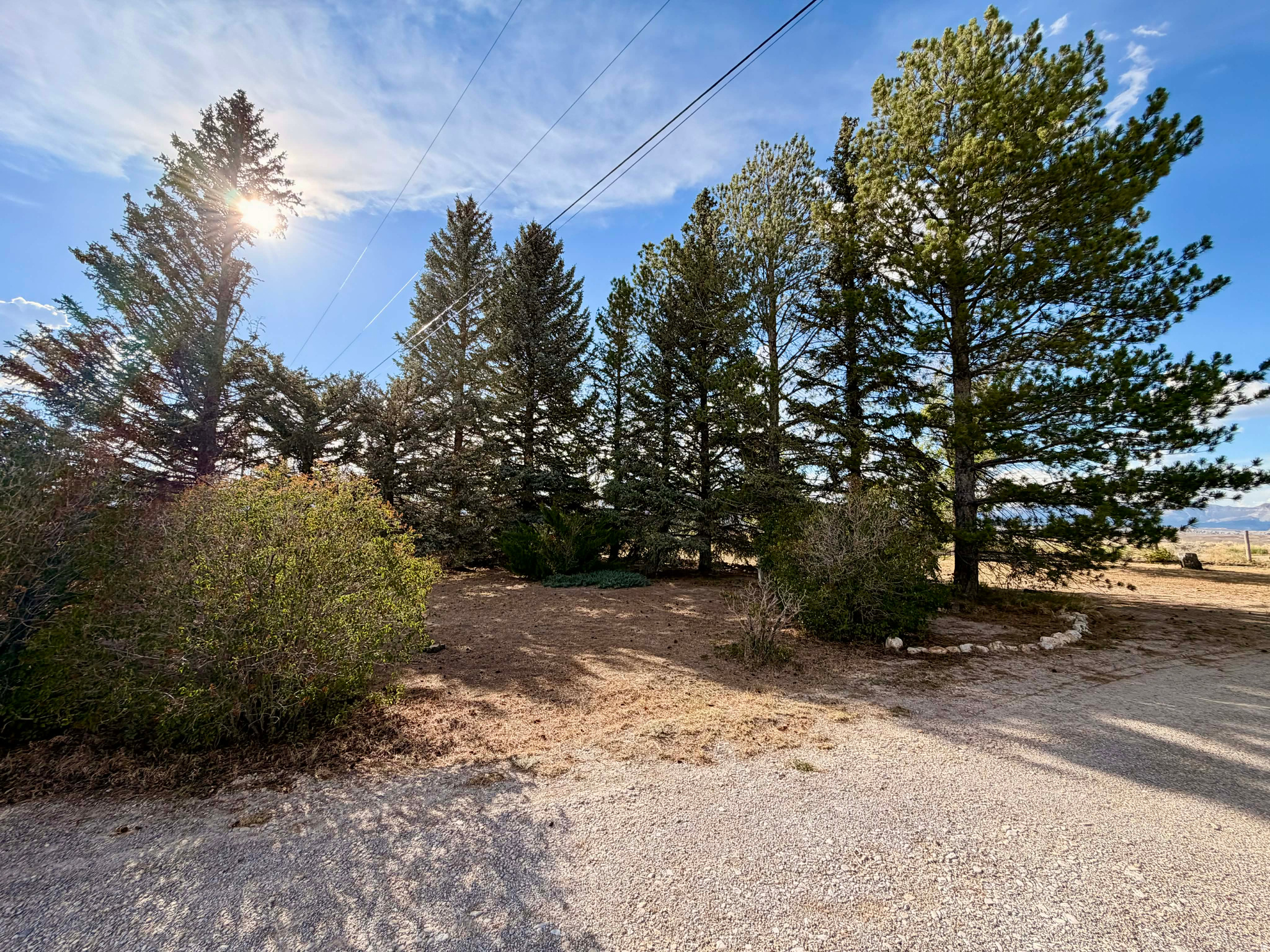 main property photo 54