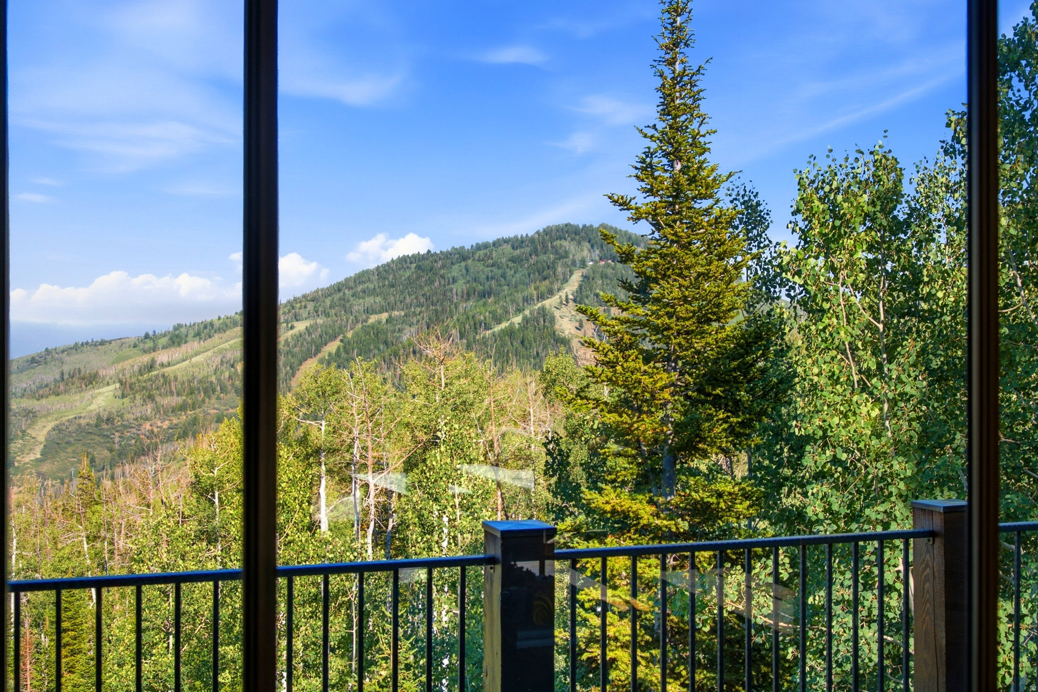 main property photo 44