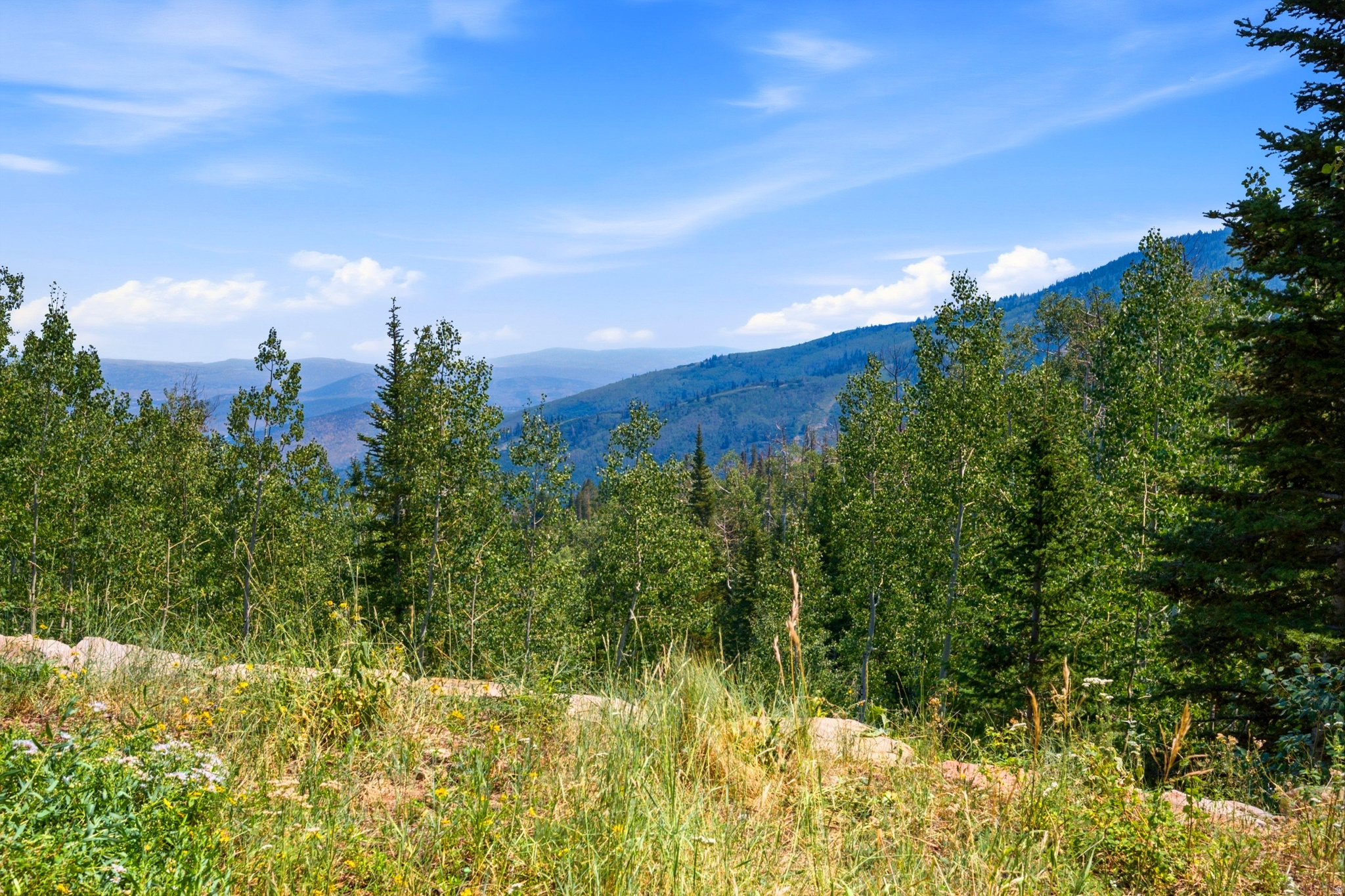 main property photo 56