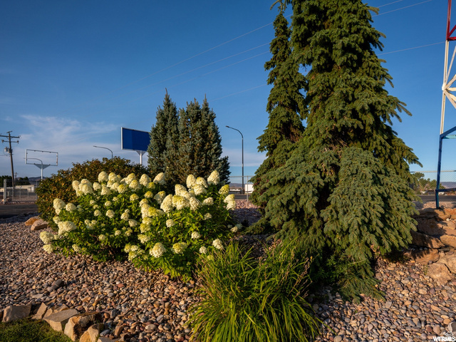 main property photo 54