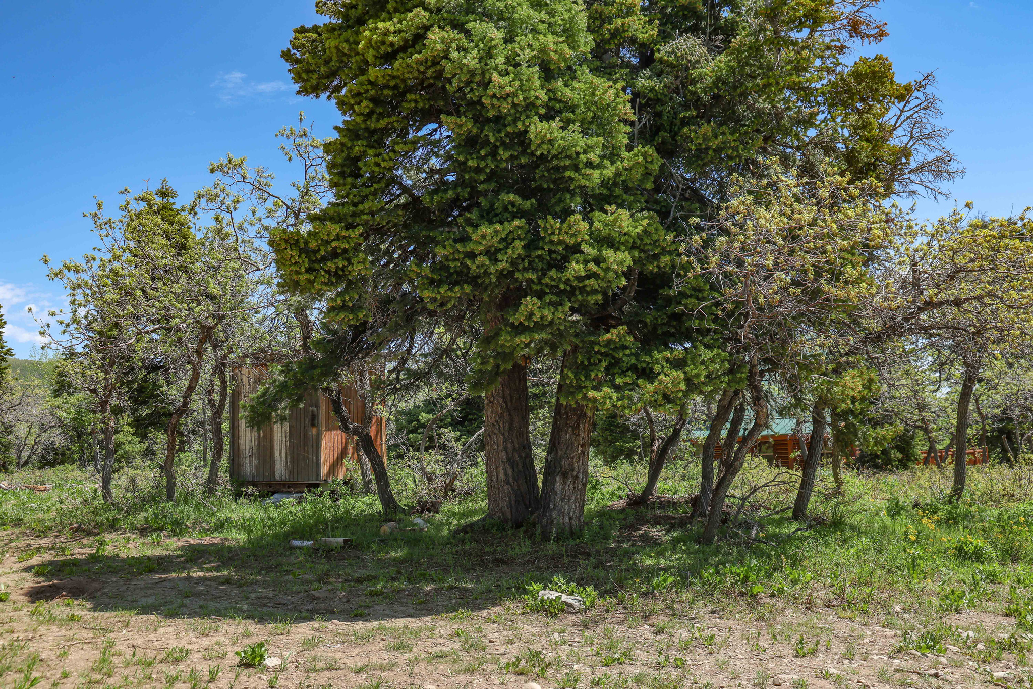 main property photo 10