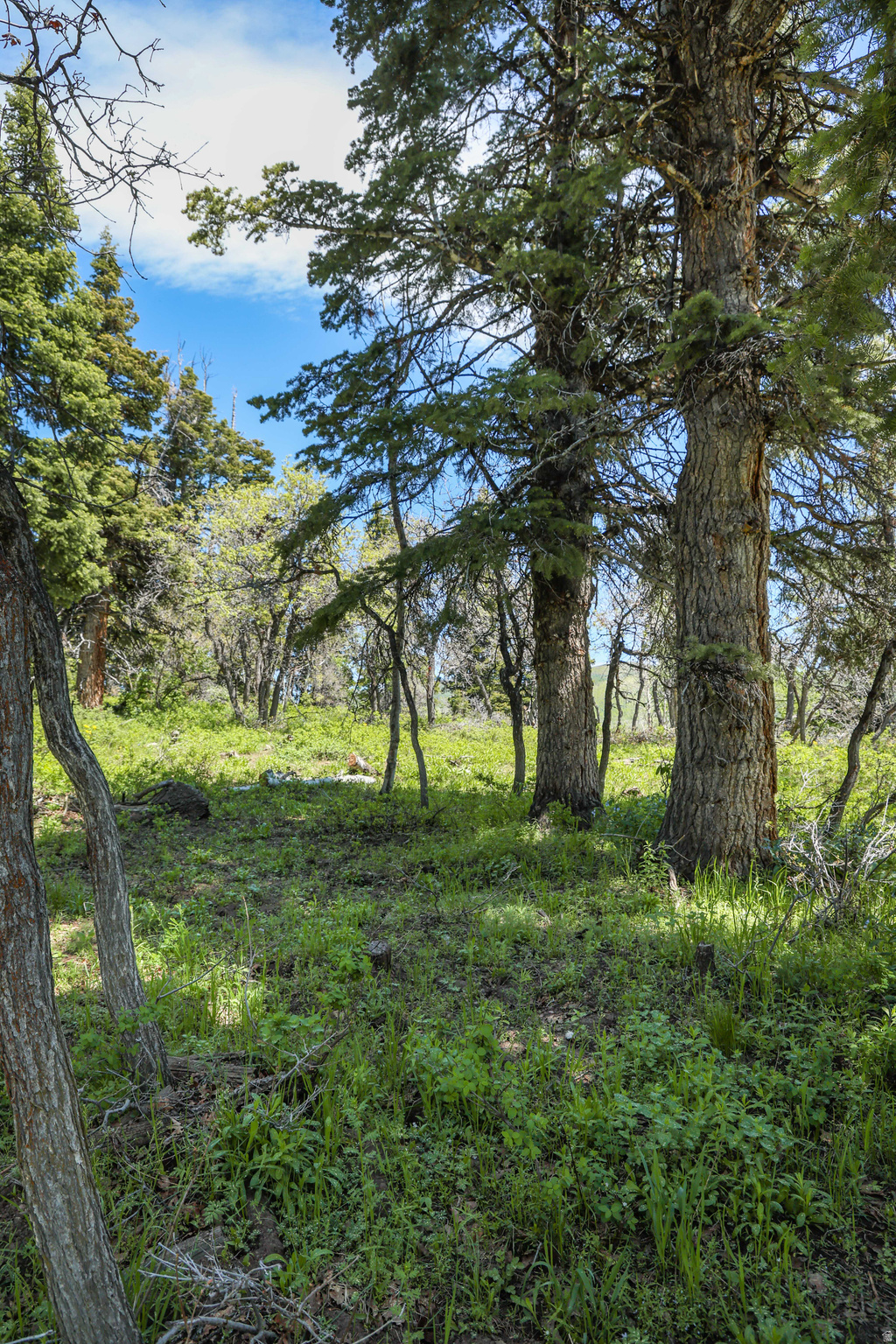 main property photo 25