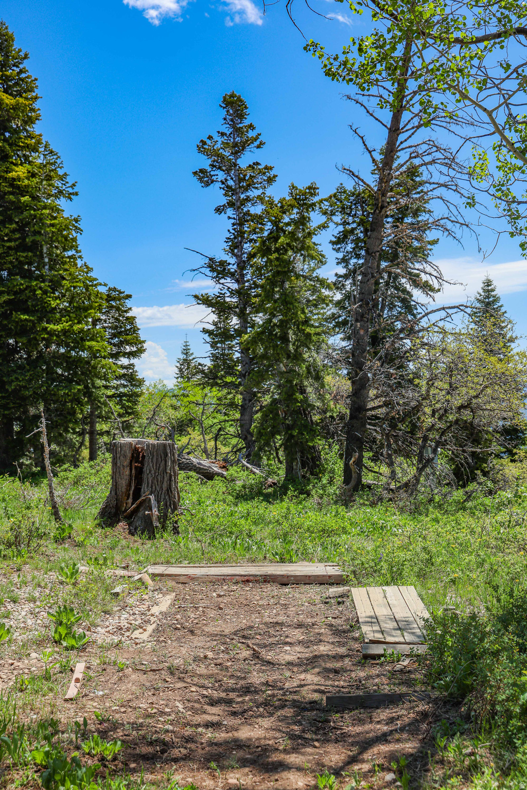 main property photo 30