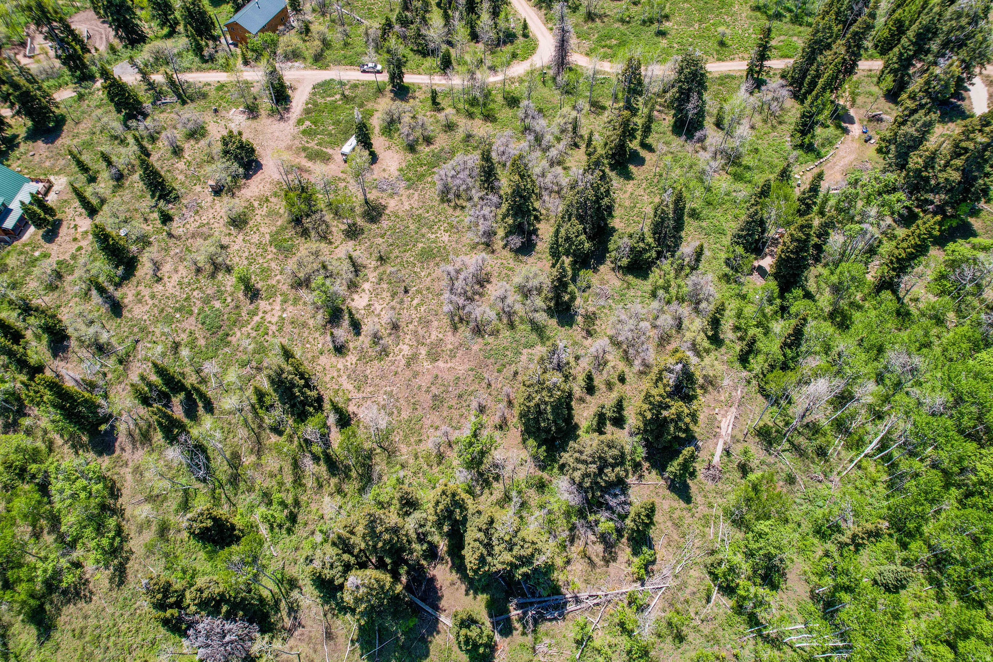 main property photo 37