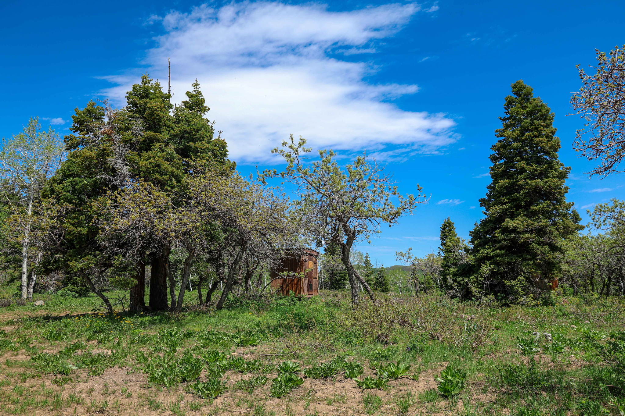 main property photo 9