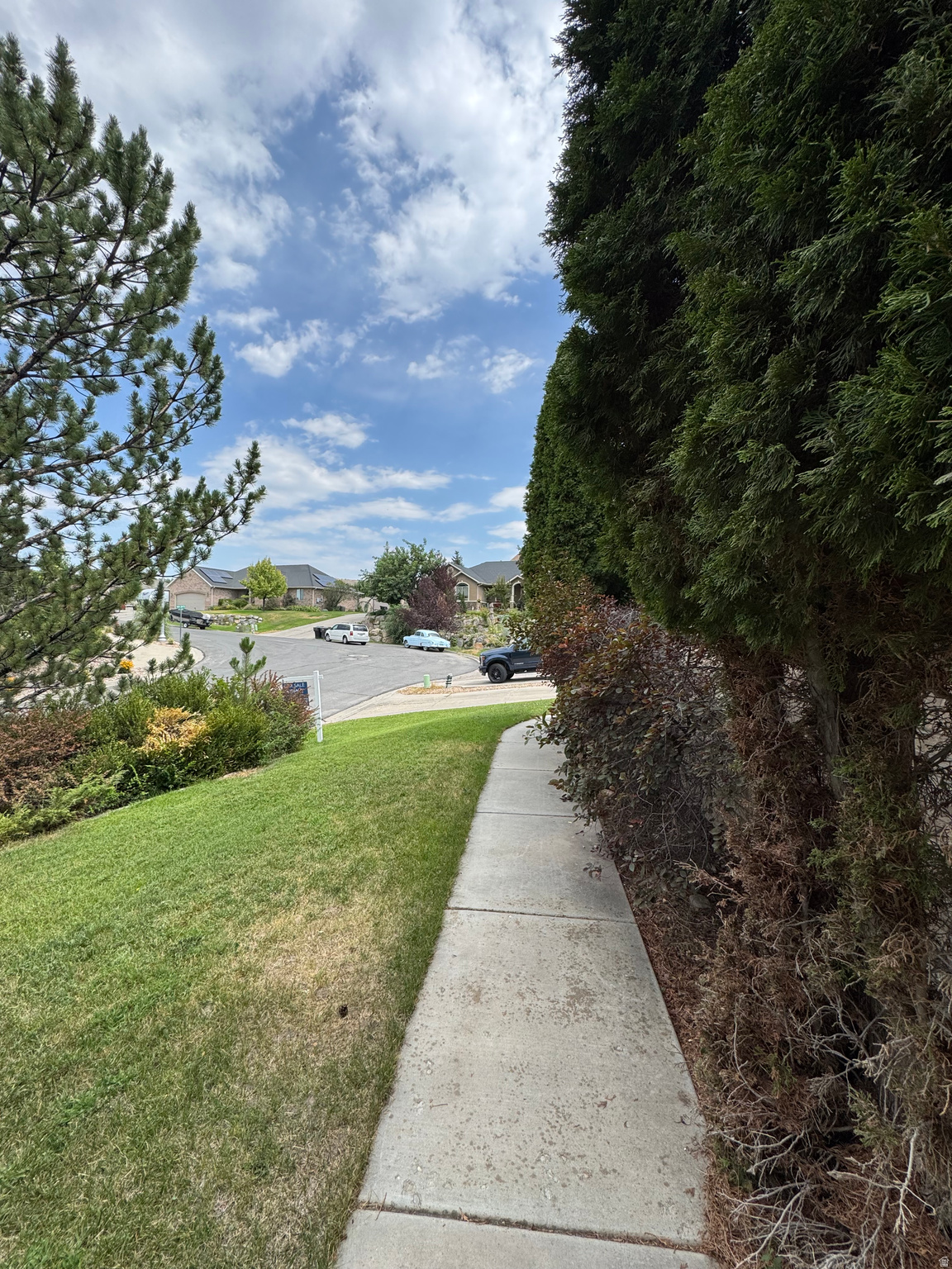main property photo 26