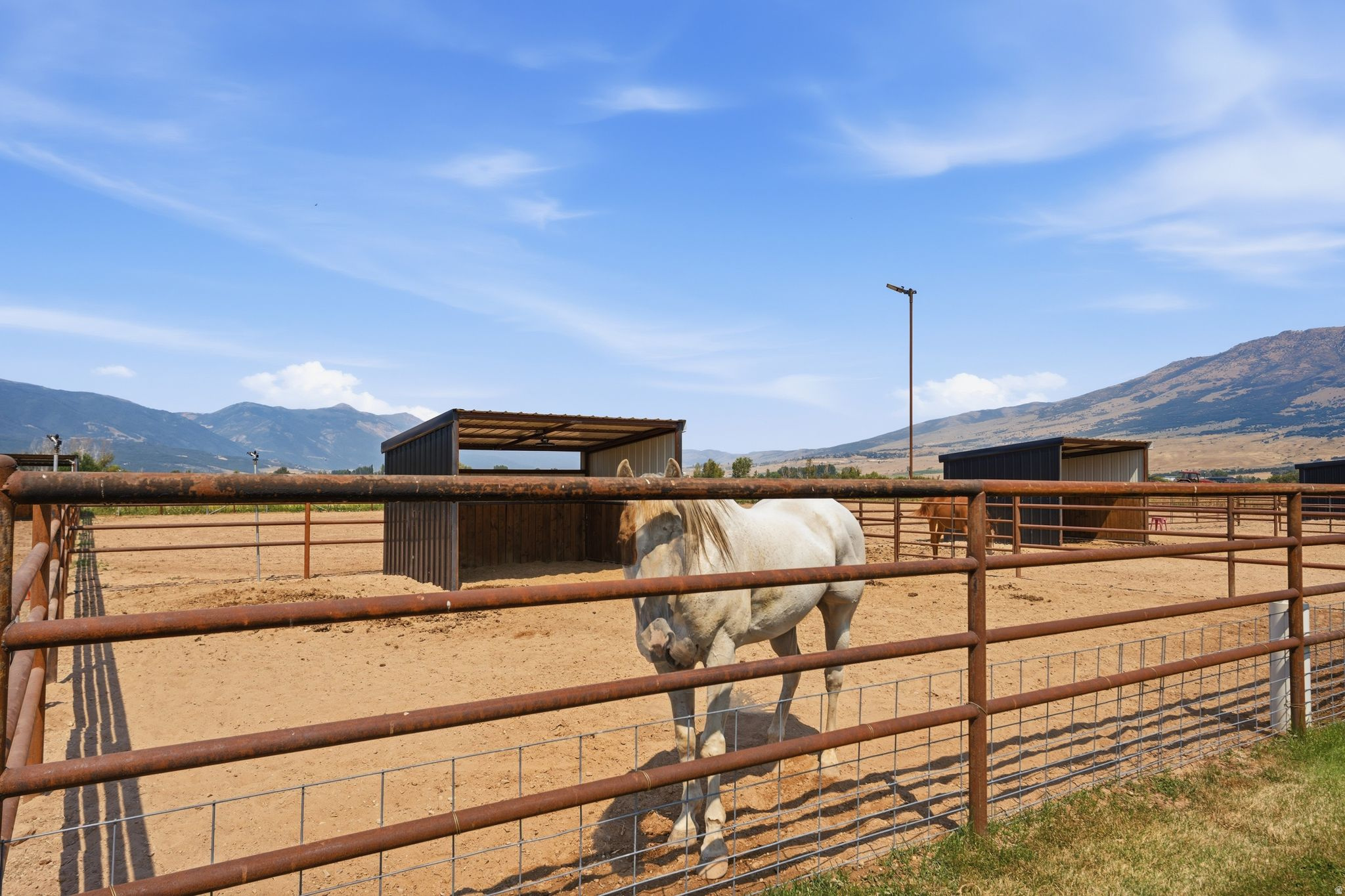 main property photo 223