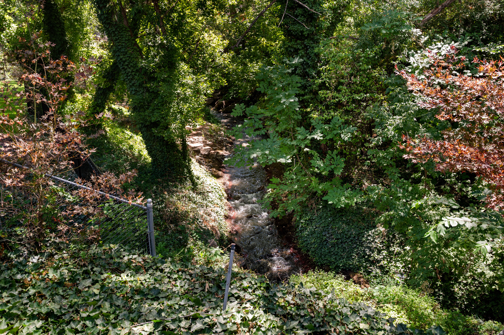 main property photo 29
