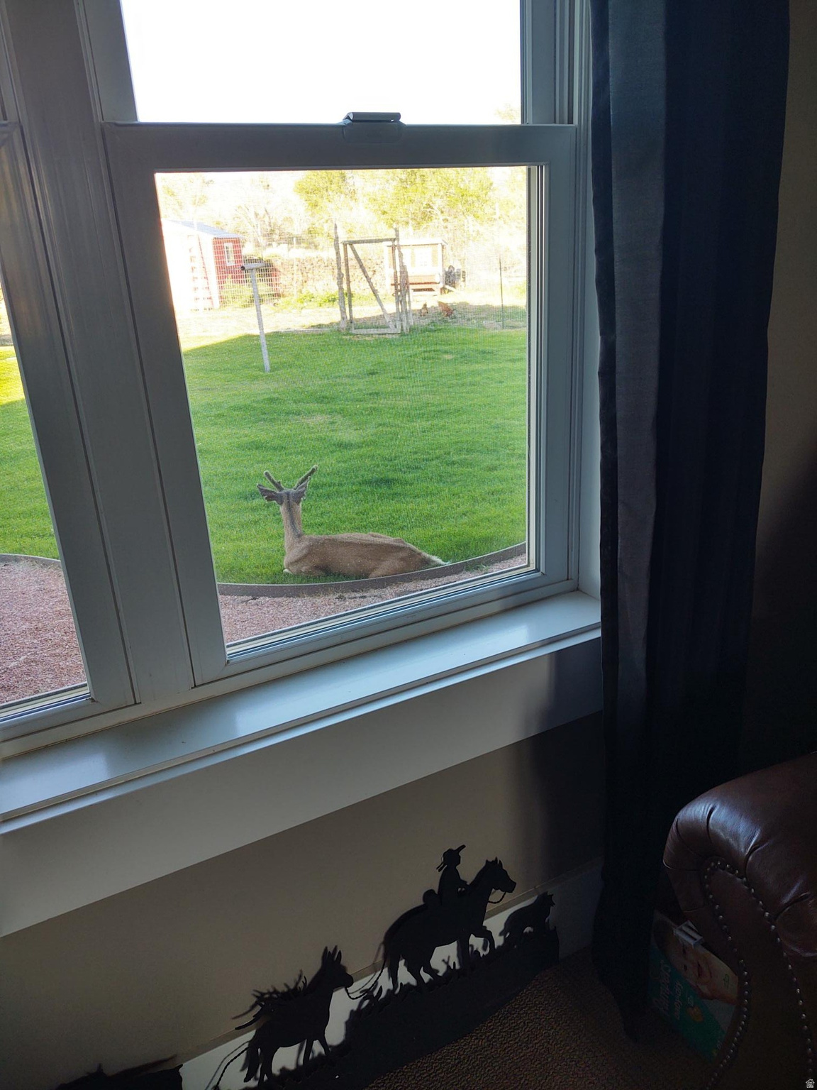 main property photo 49