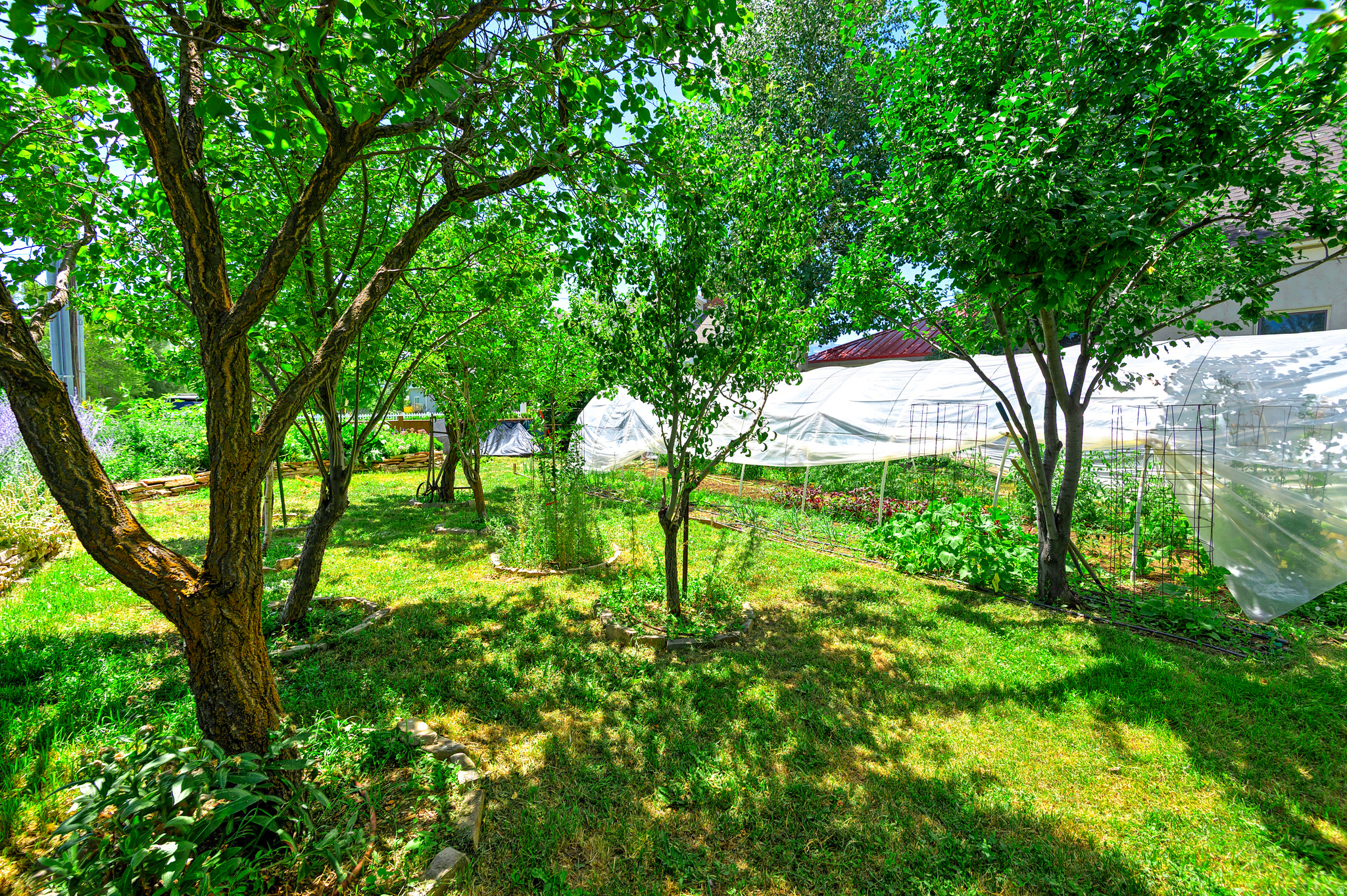 main property photo 81