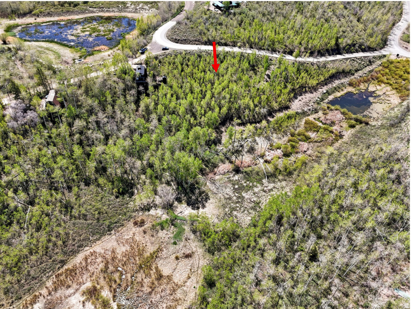main property photo 7