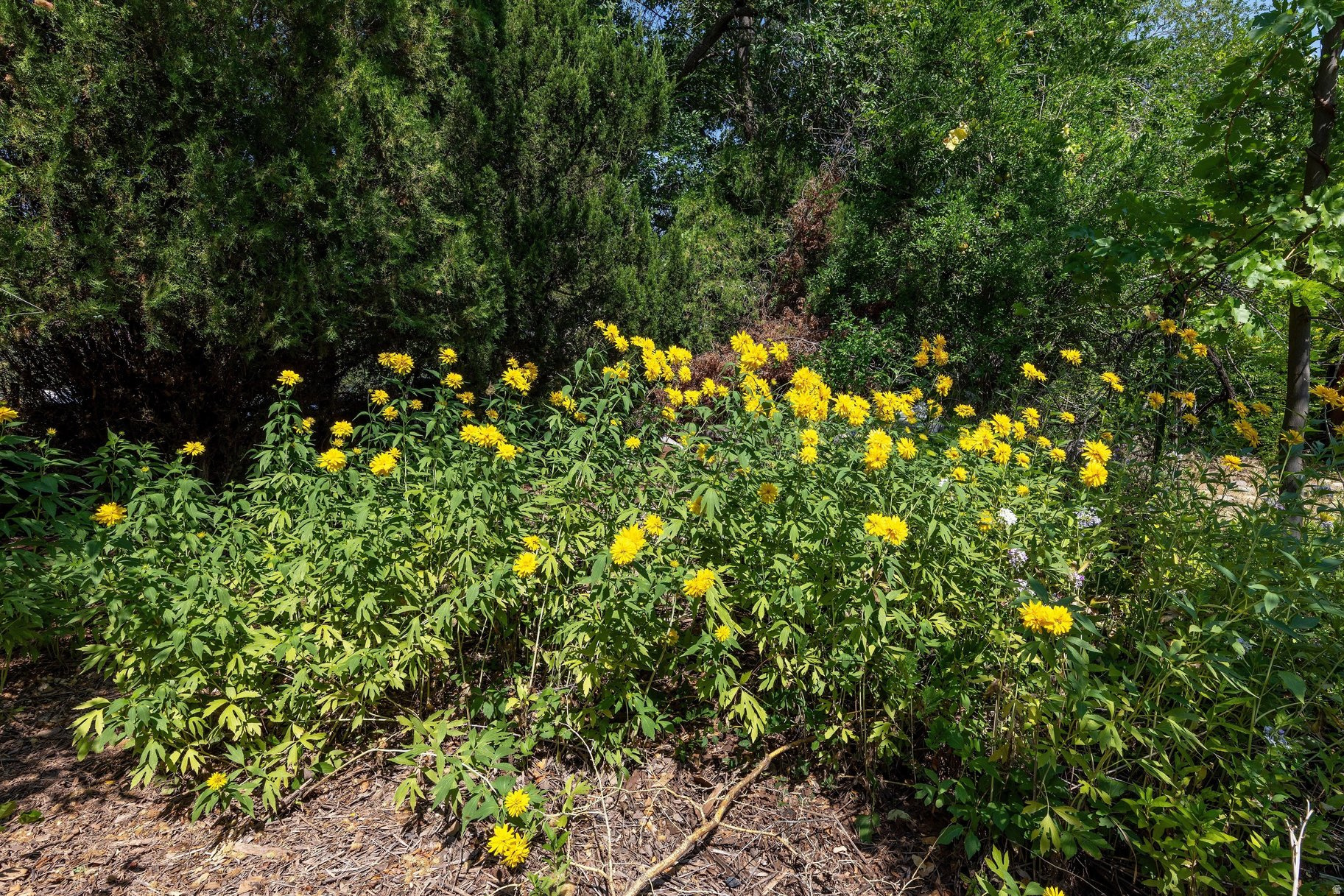 main property photo 21