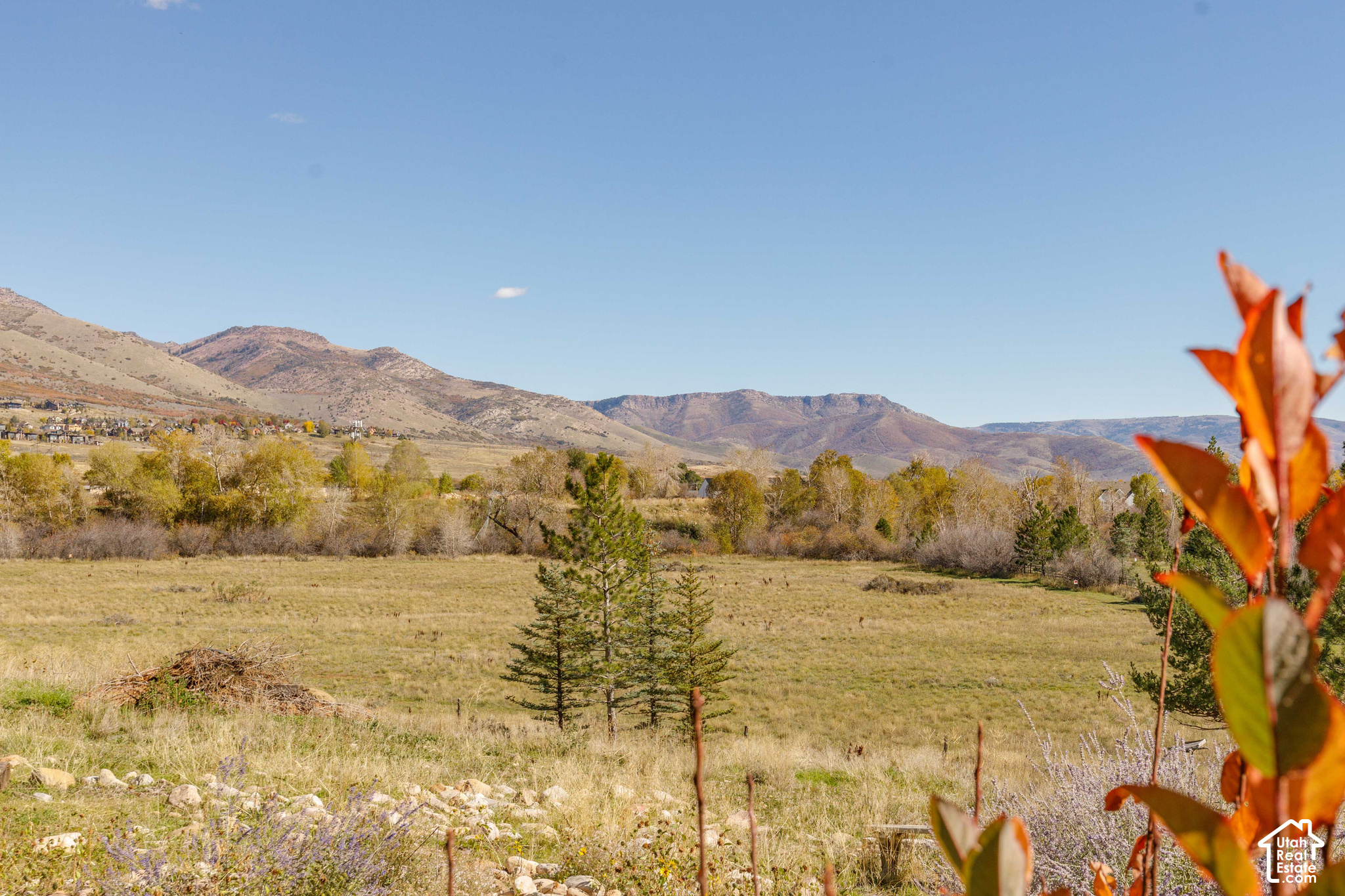 main property photo 65