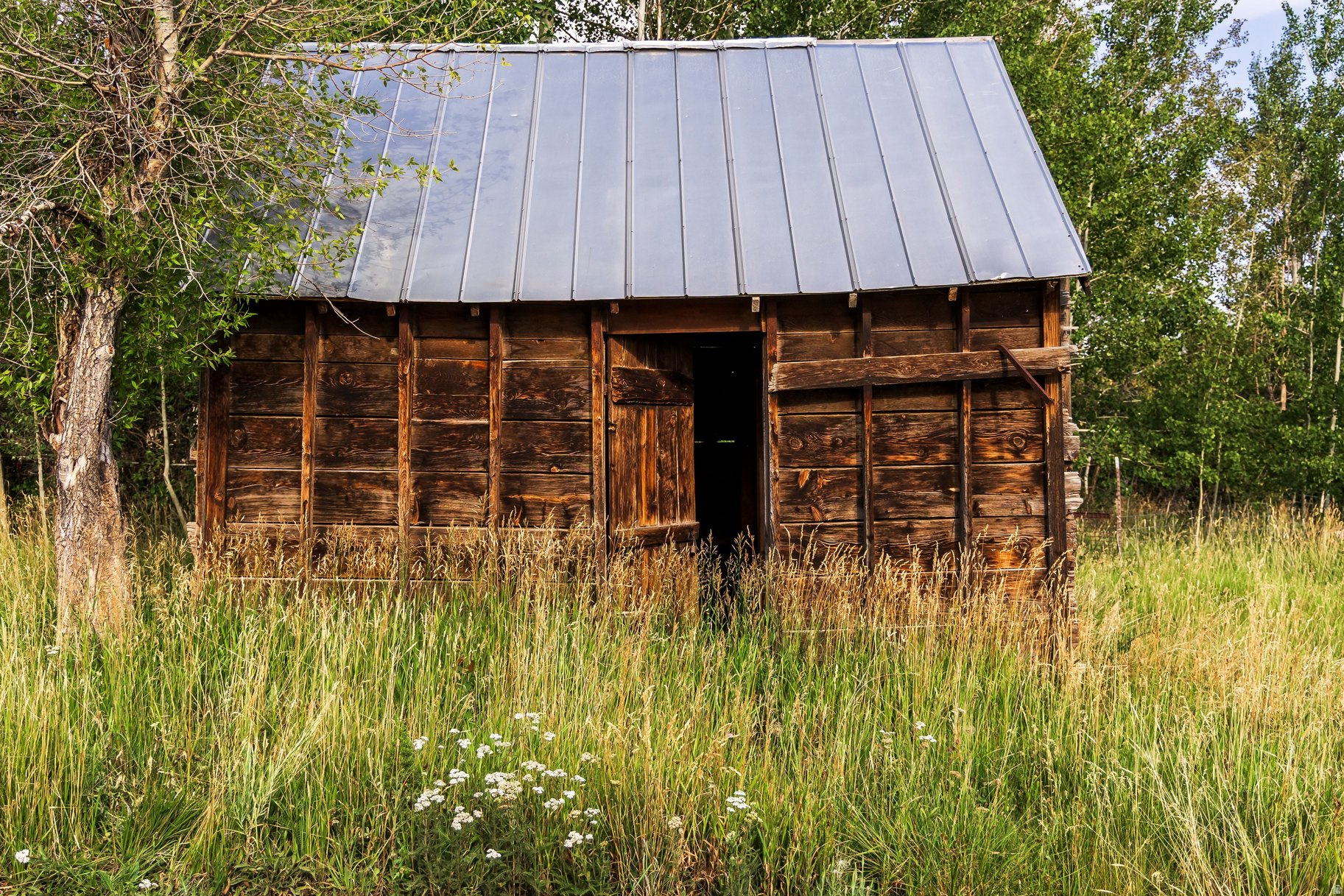 main property photo 38