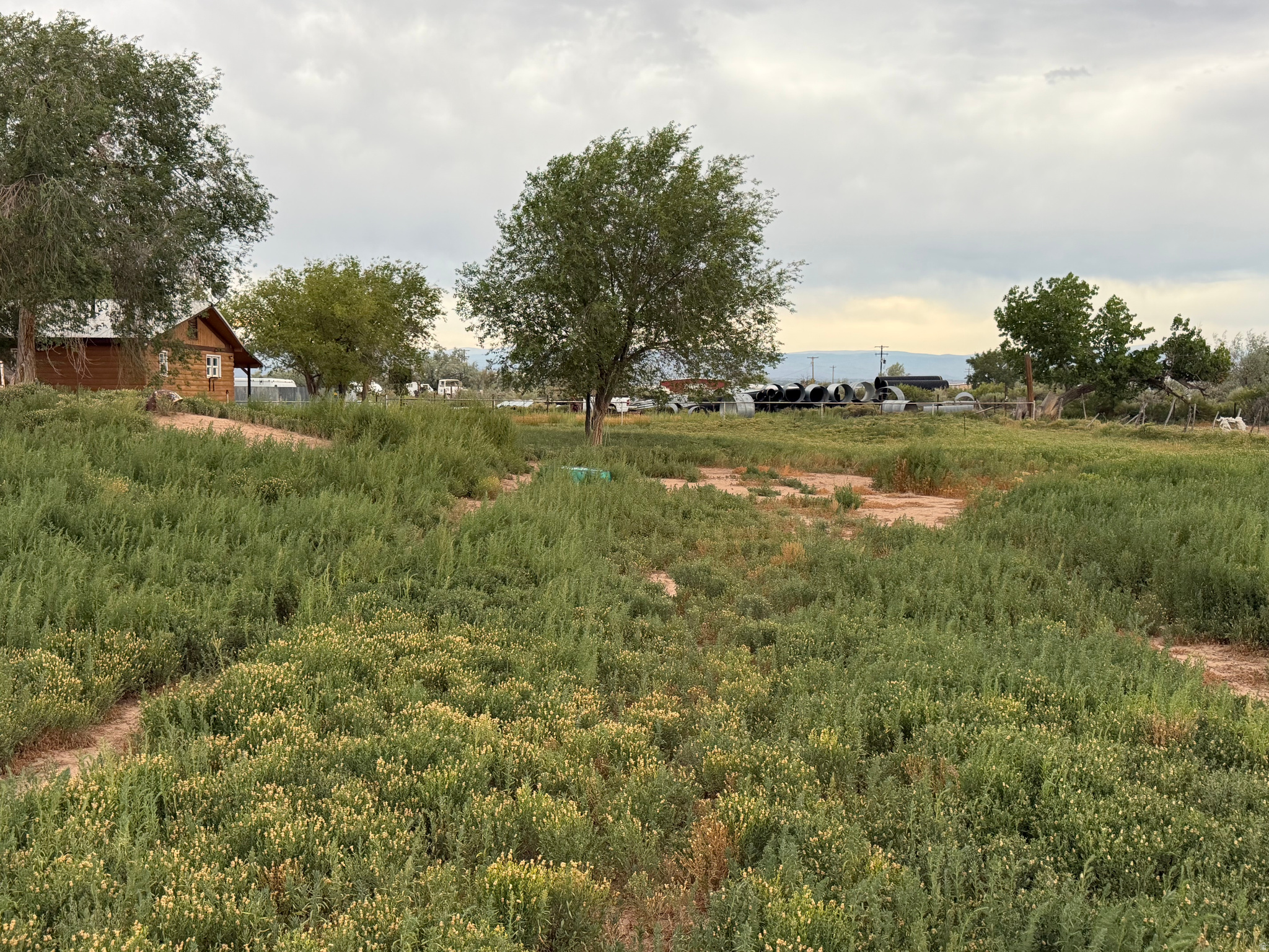 main property photo 44
