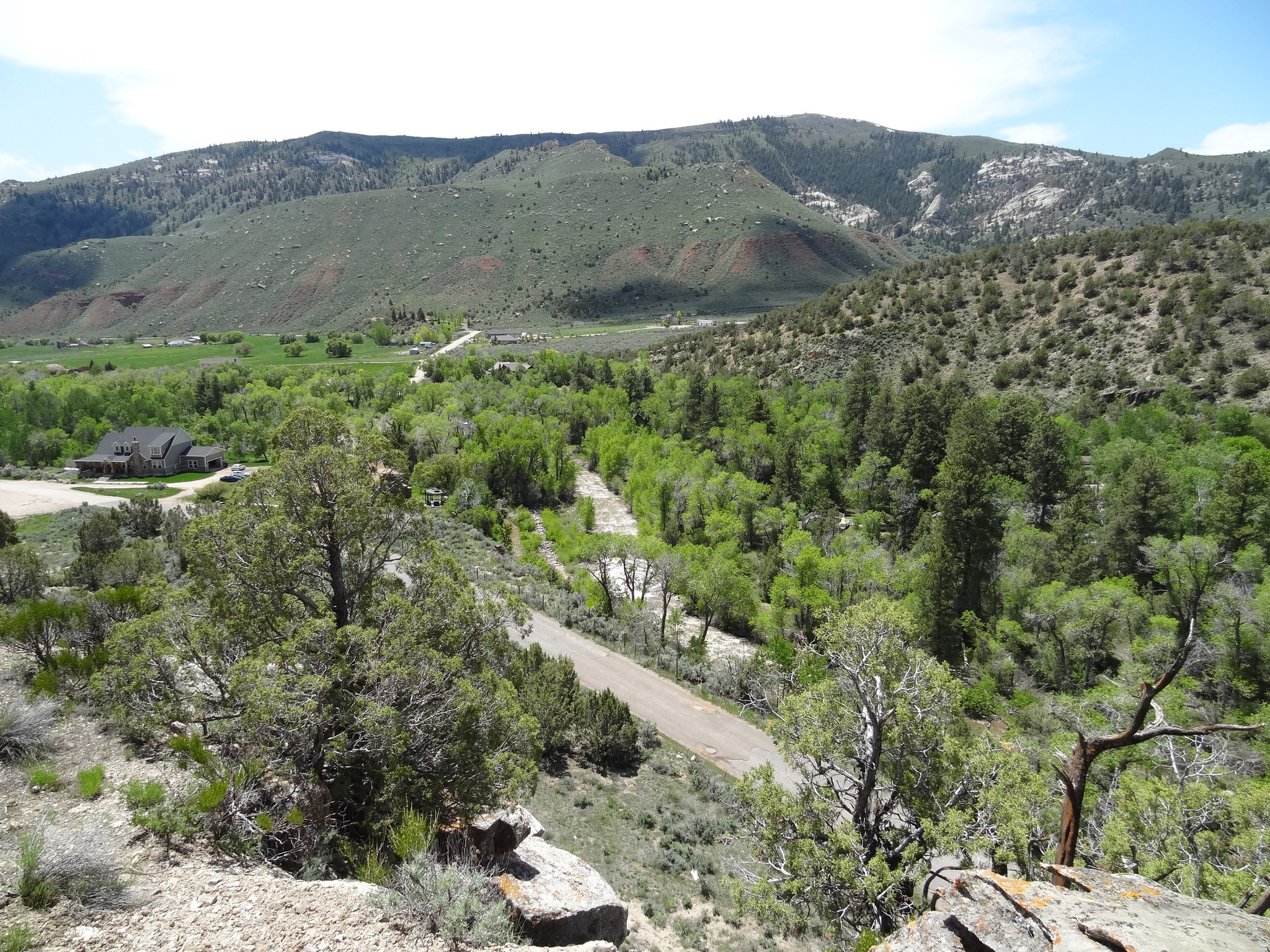 main property photo 14