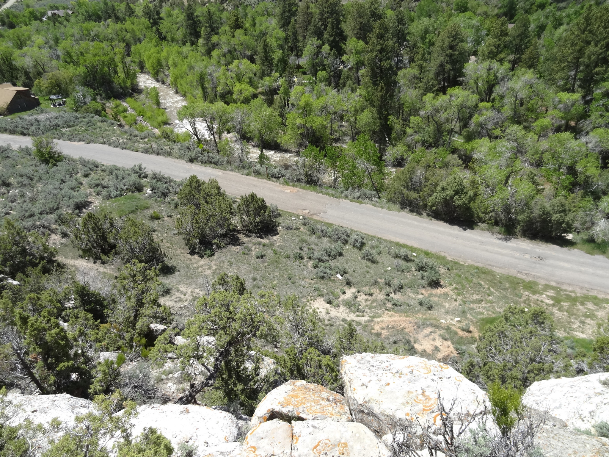 main property photo 24