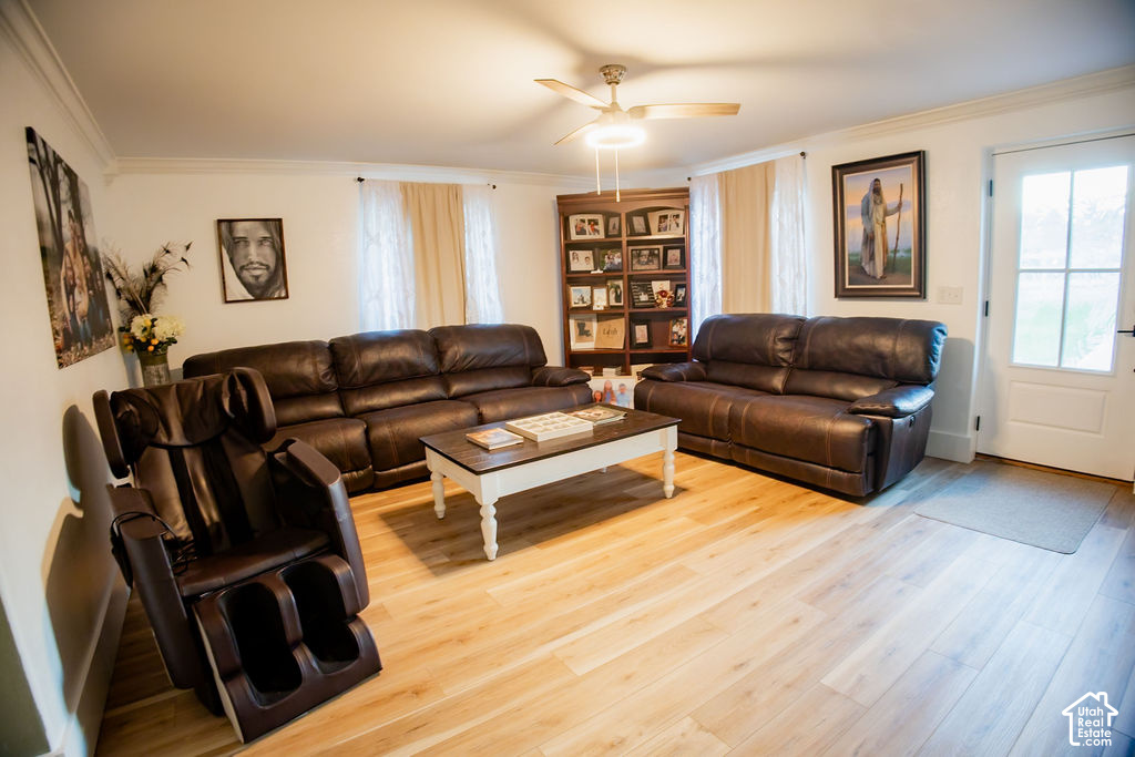 main property photo 36