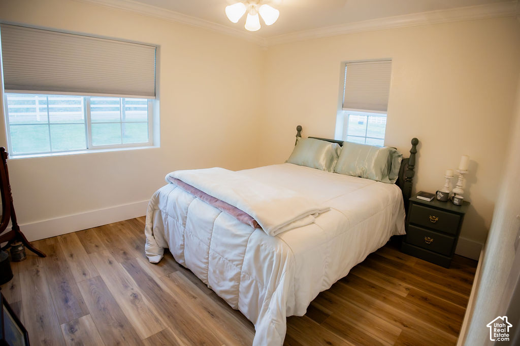 main property photo 61
