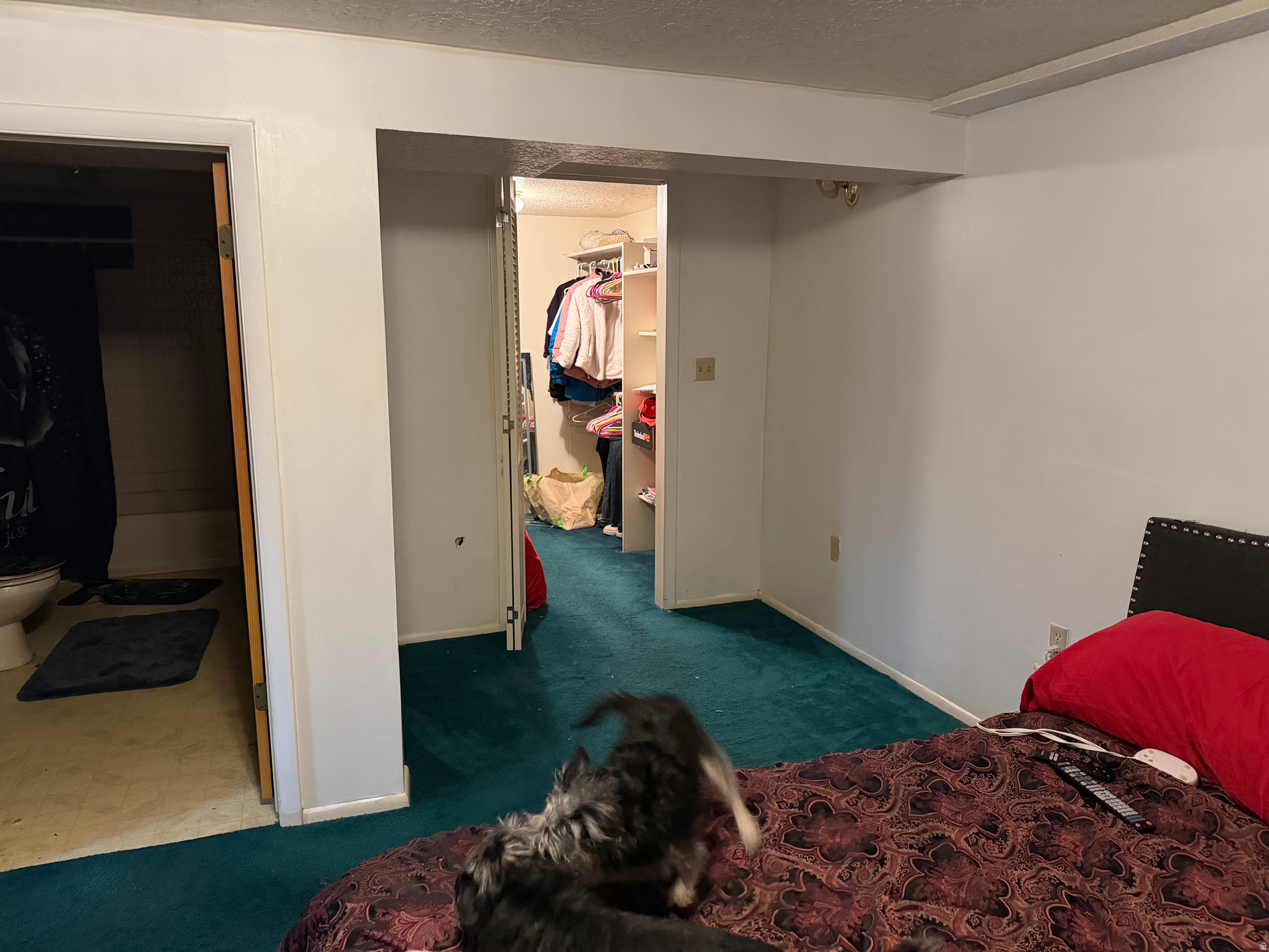 main property photo 18