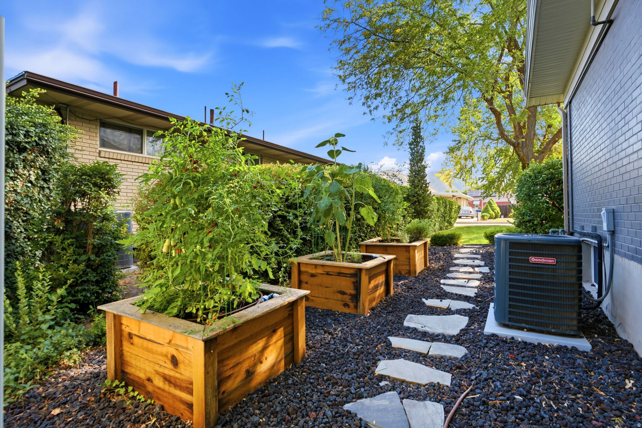 main property photo 68