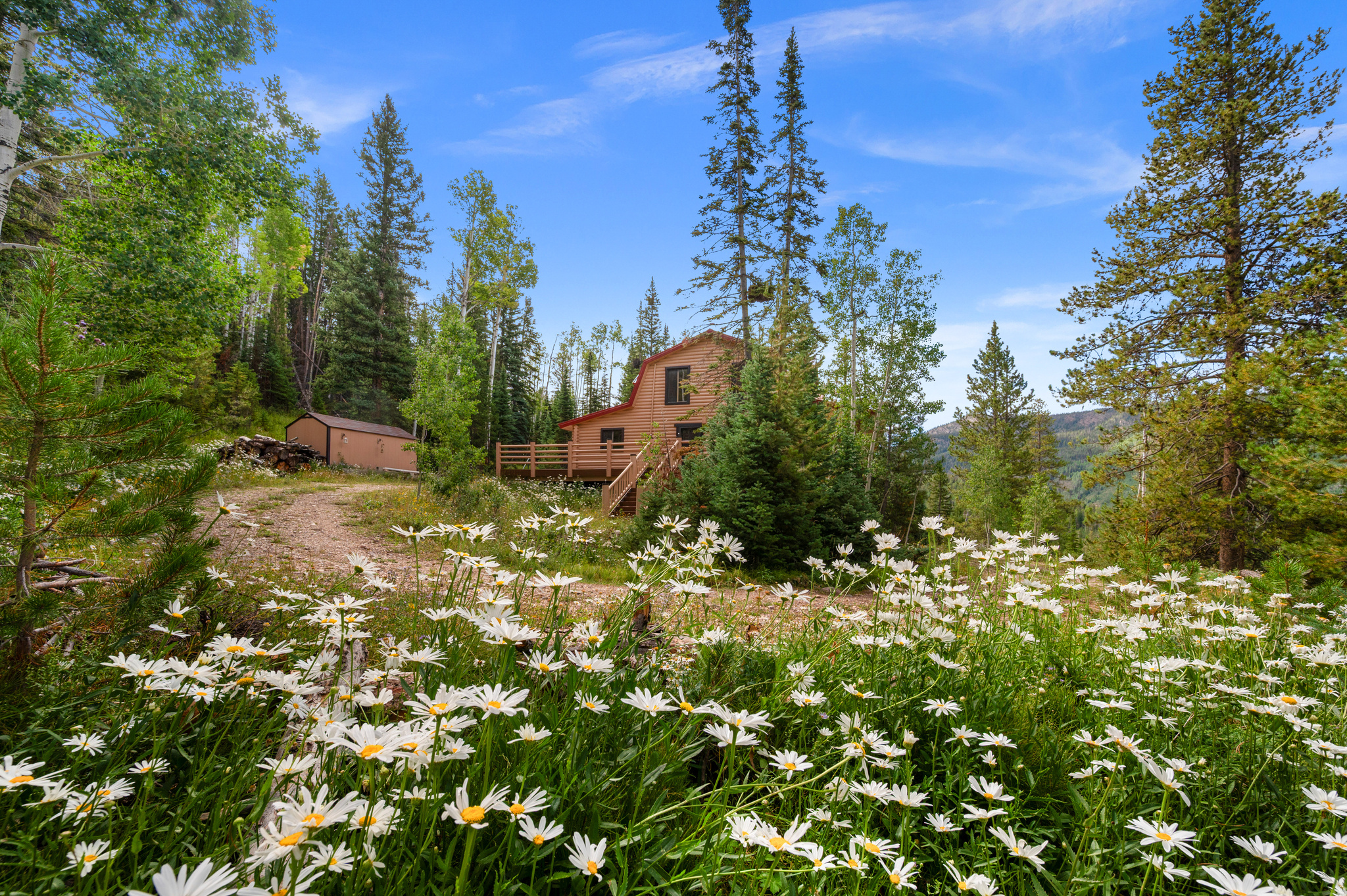 main property photo 35