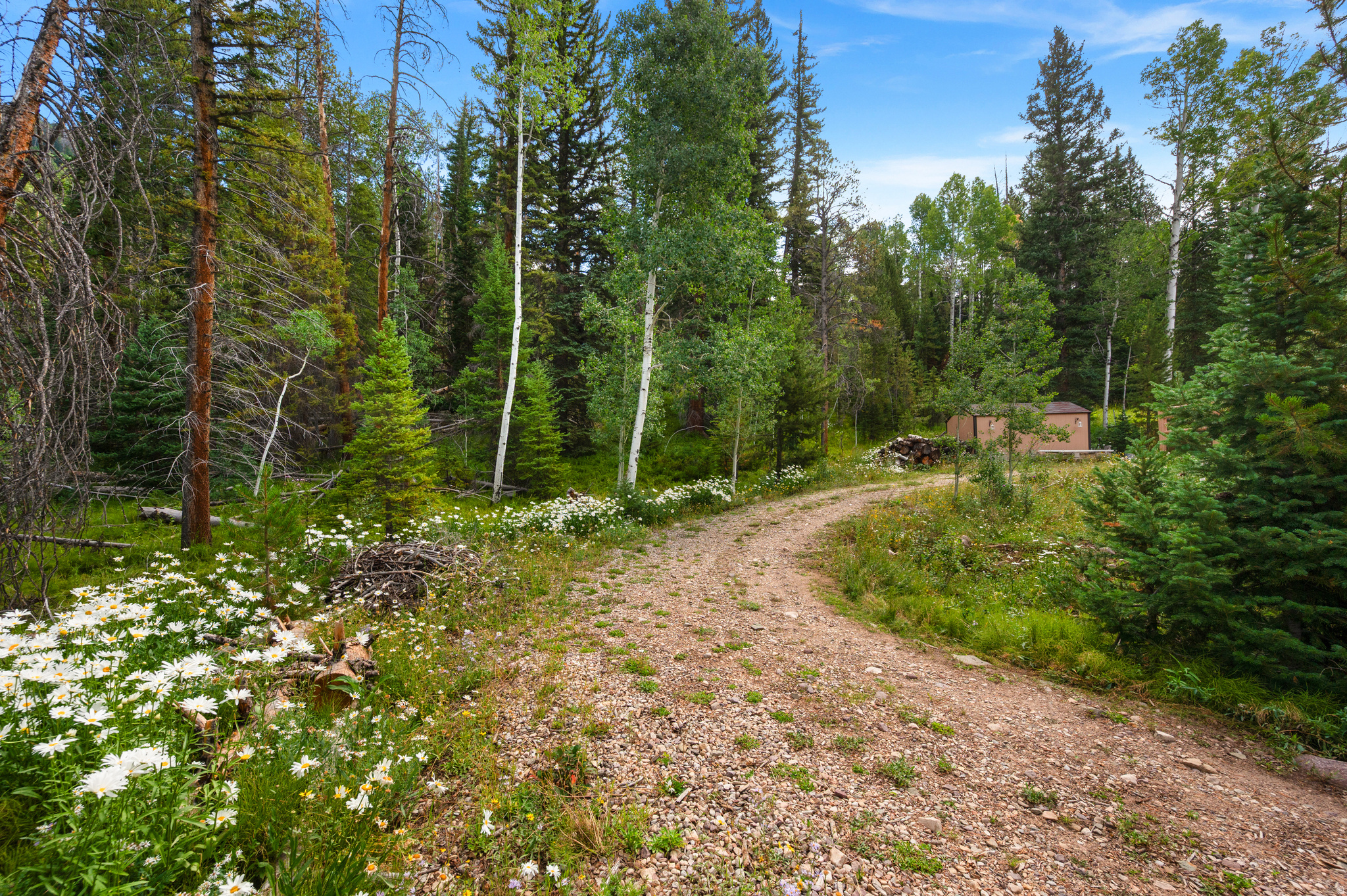 main property photo 36