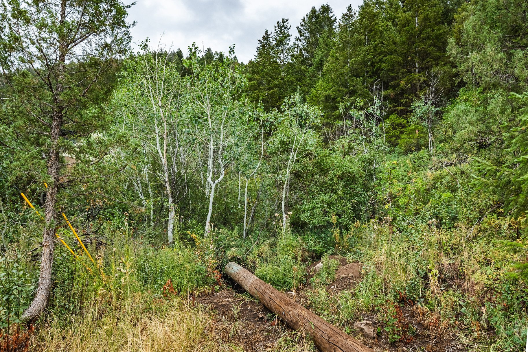 main property photo 33