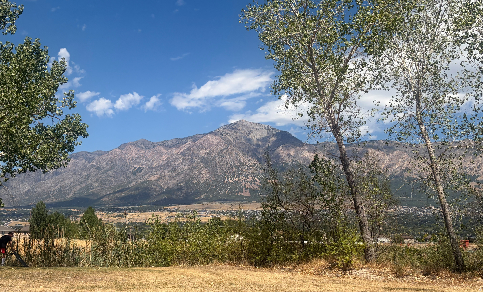 main property photo 39