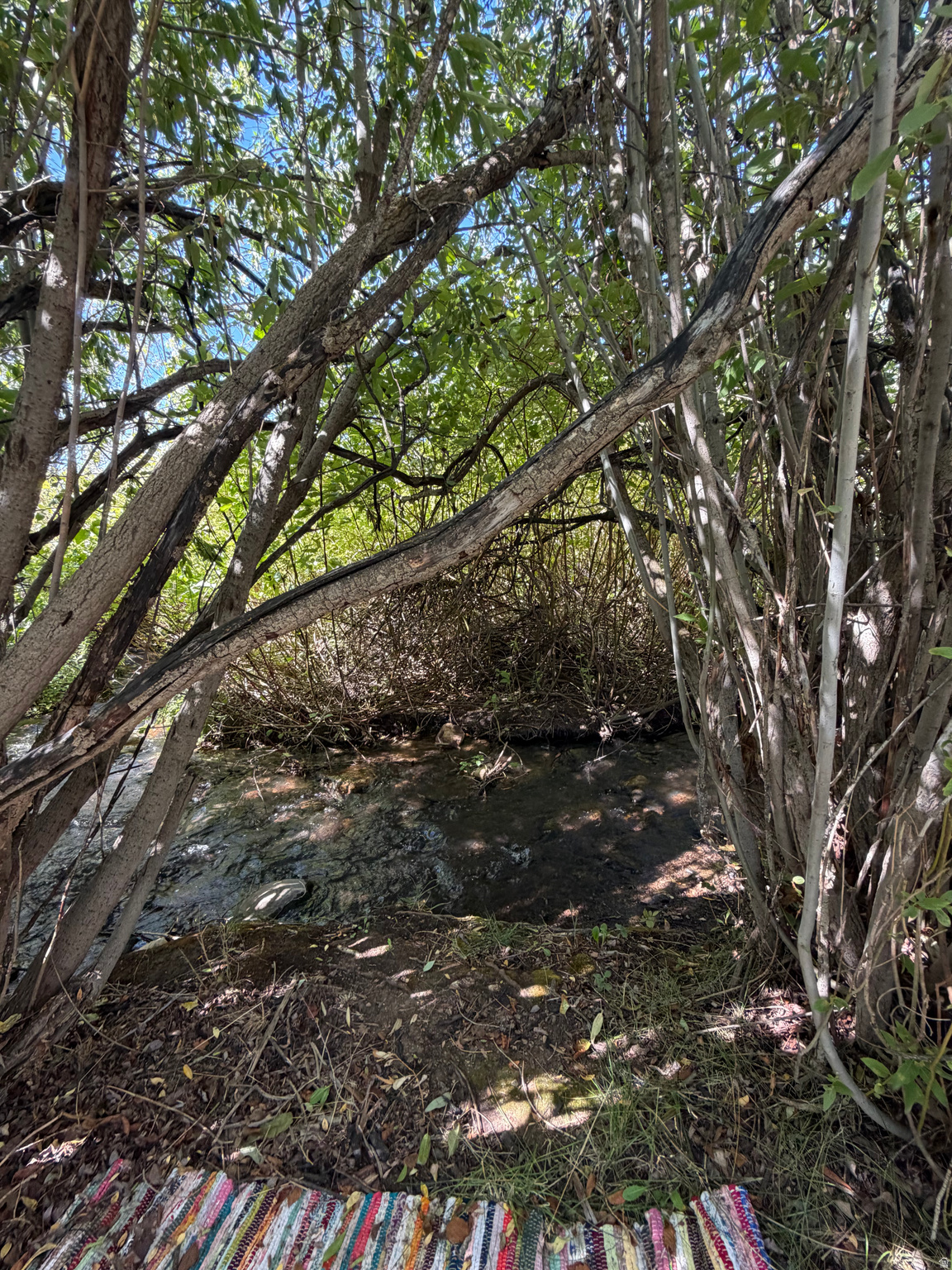 main property photo 54