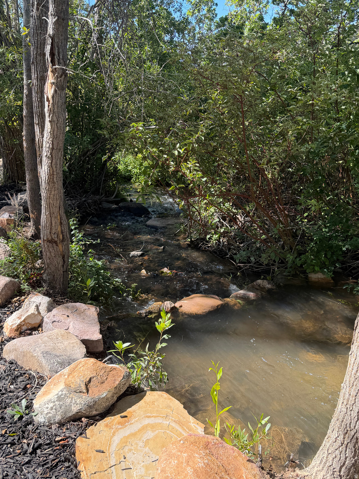 main property photo 57