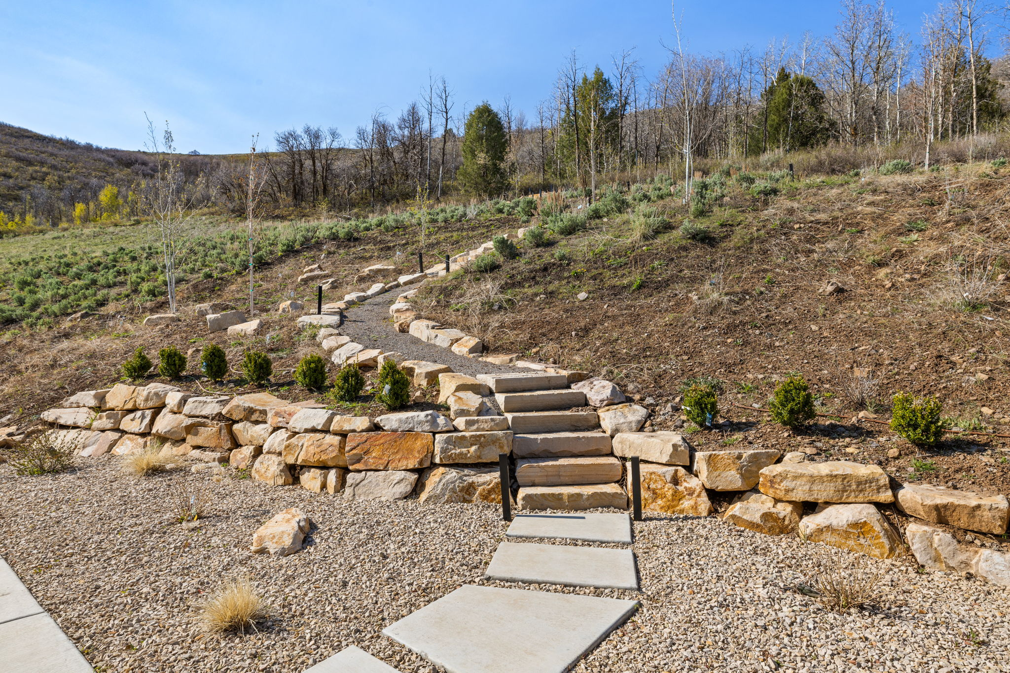 main property photo 48
